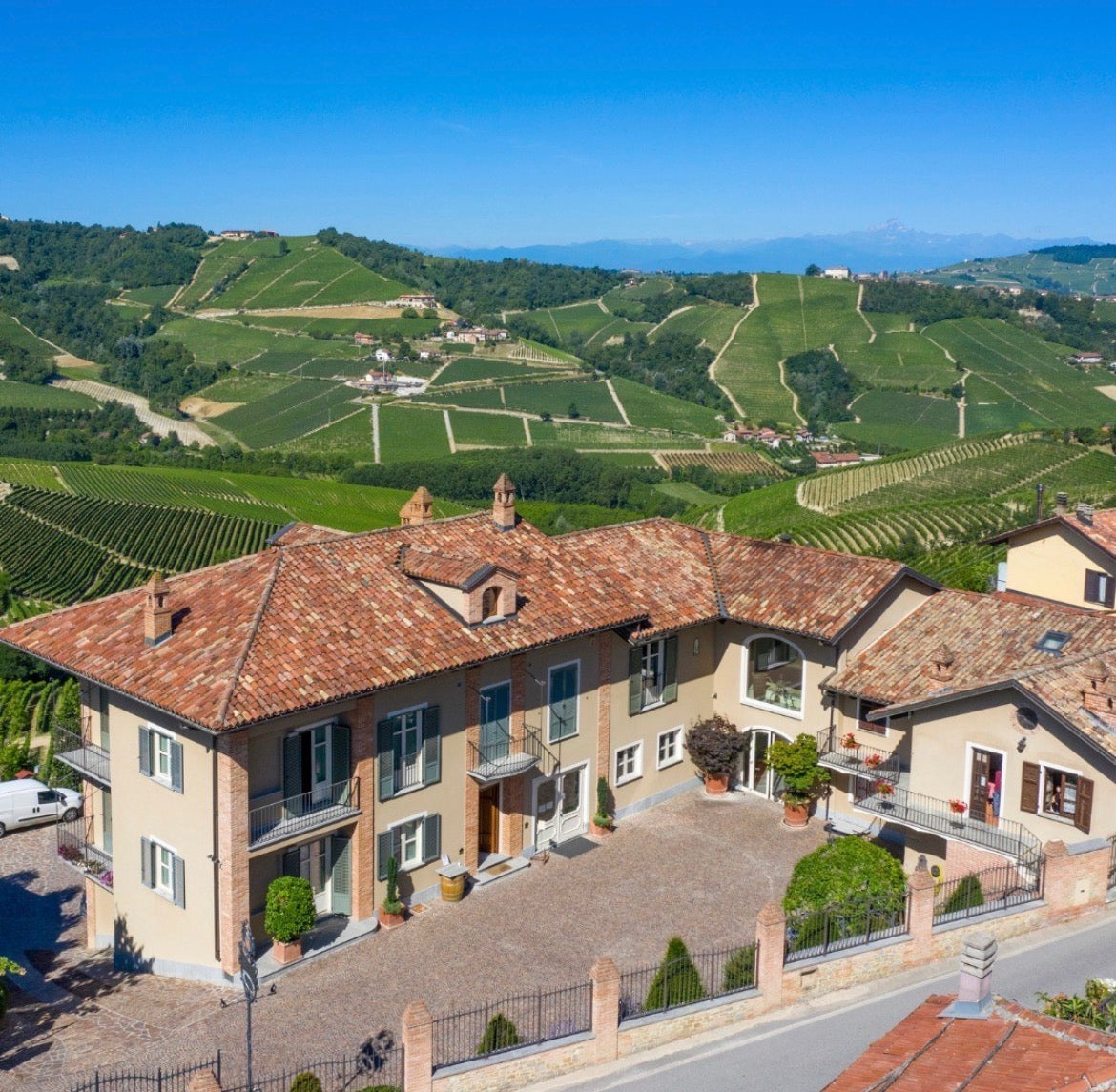 Piedmont Wine Lunch at Angèle — July 24th, 11:30 to 1:30pm