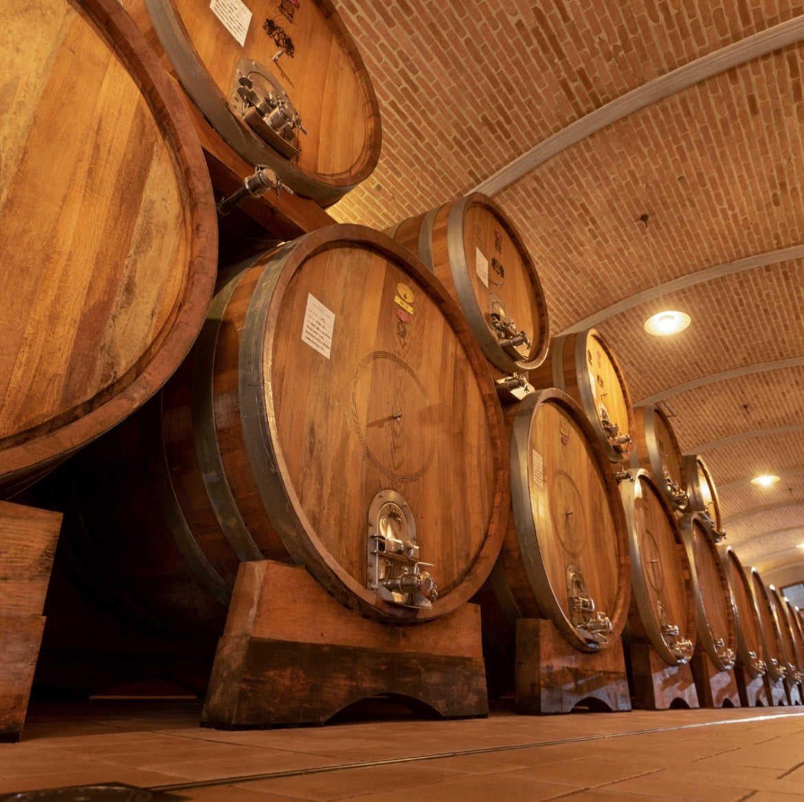 Piedmont Wine Lunch at Angèle — July 24th, 11:30 to 1:30pm