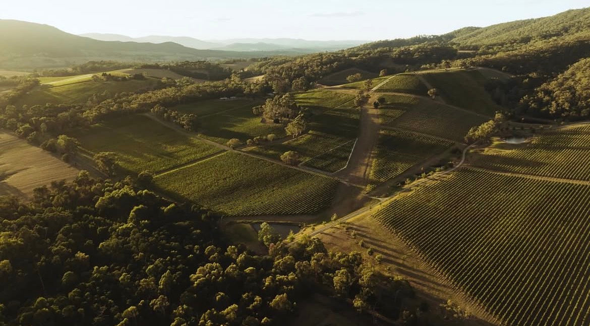 Yarra Valley Wine Lunch at Angèle — September 18th, 11:30 to 1:30pm